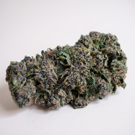 🌸 PACK DÉCOUVERTE FLEURS 🌸