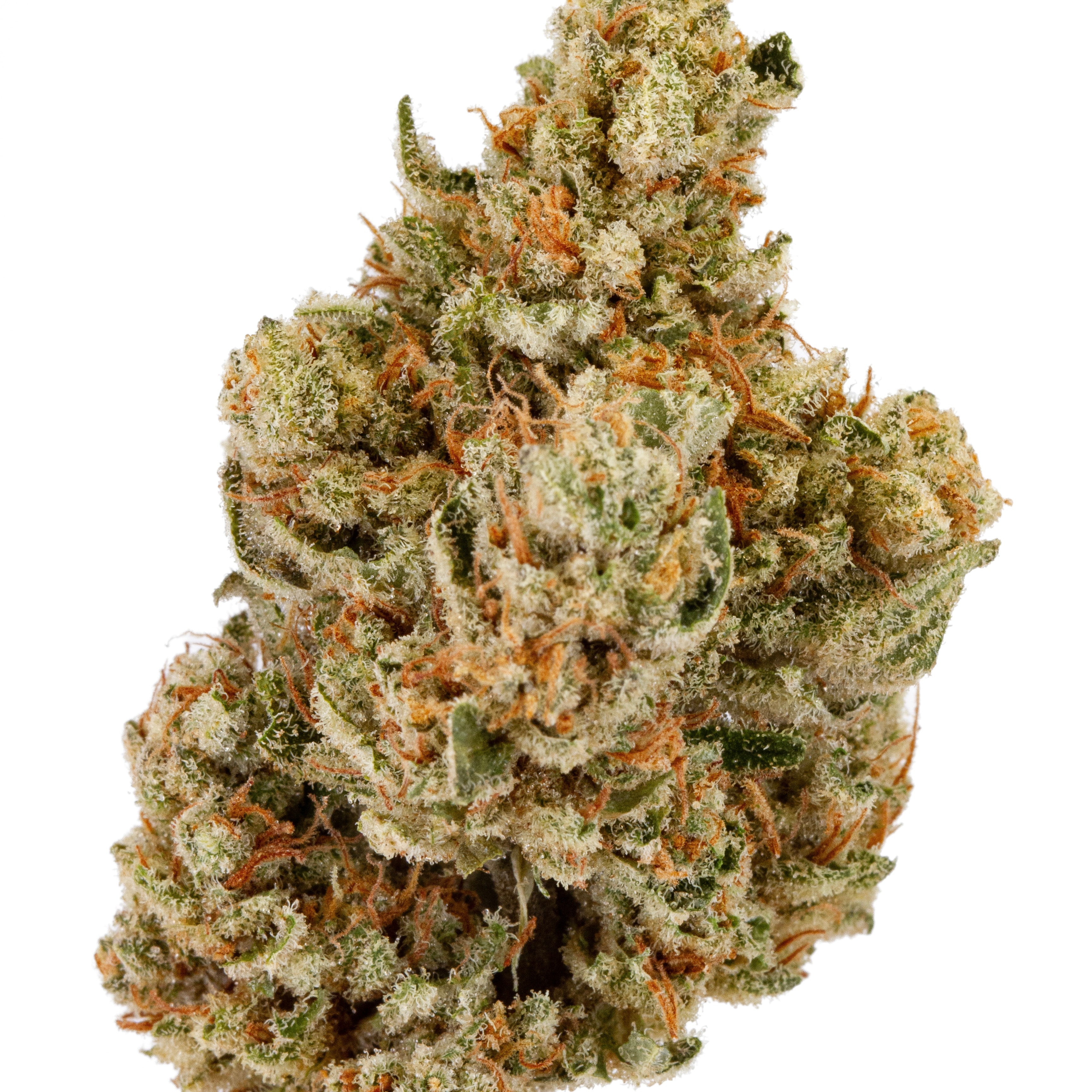 INTERSTELLAR #9 🪐