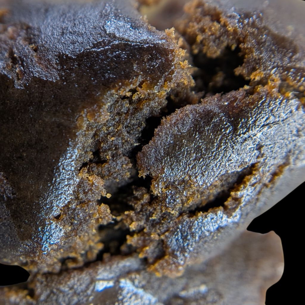 Medical Grape x Amethyst Glue | Fresh Frozen 120/45µ