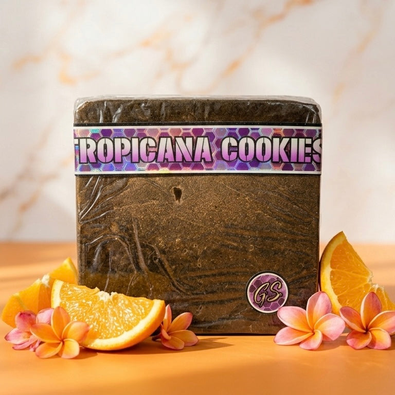 Résine CBD Tropicana Cookies — profil orange mandarine biscuit | Gaz Selection CBD