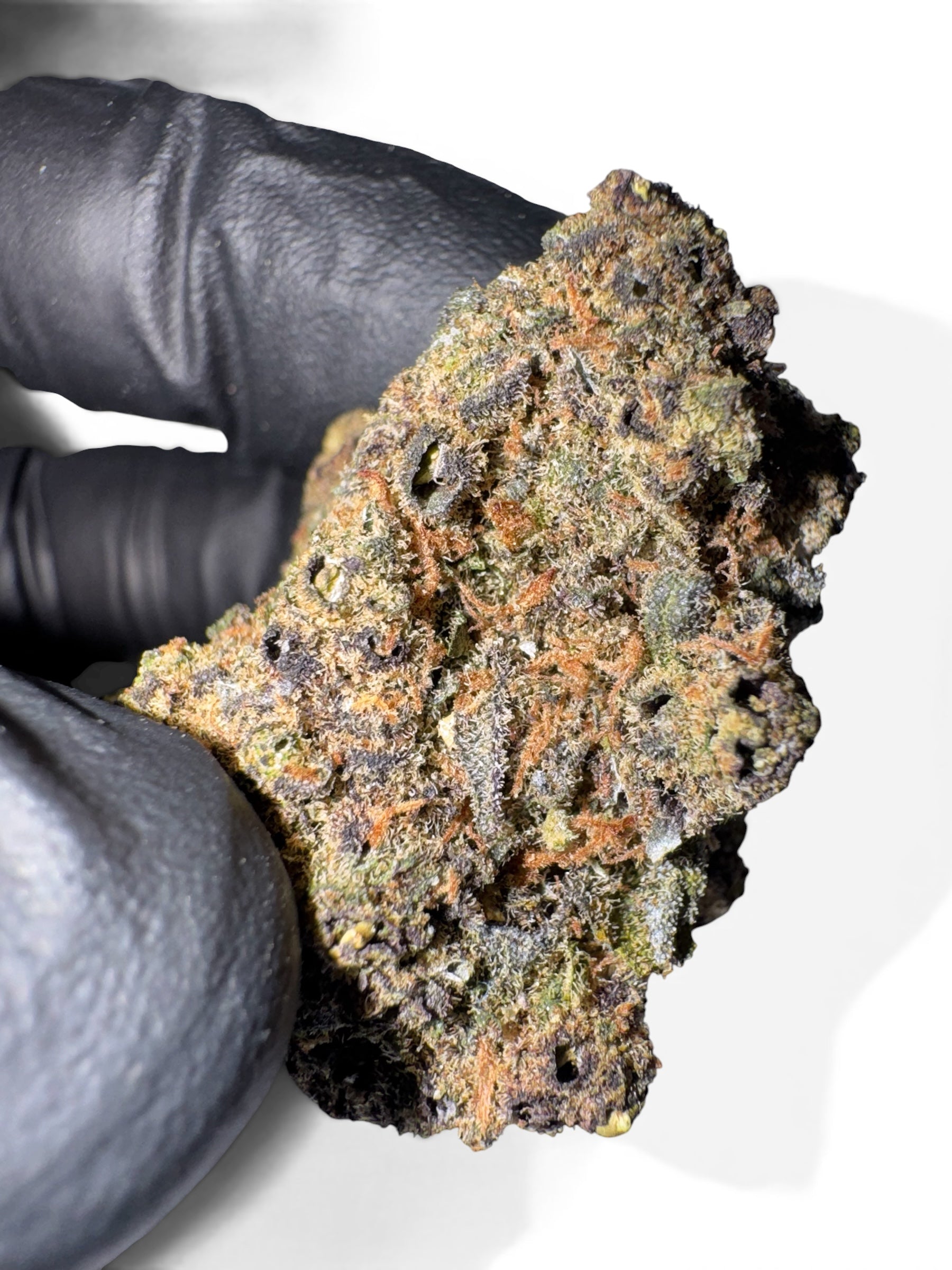Diesel Bubble CBD indoor — arômes carburant et fruits violets premium