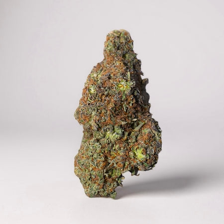 🌸 PACK DÉCOUVERTE FLEURS 🌸