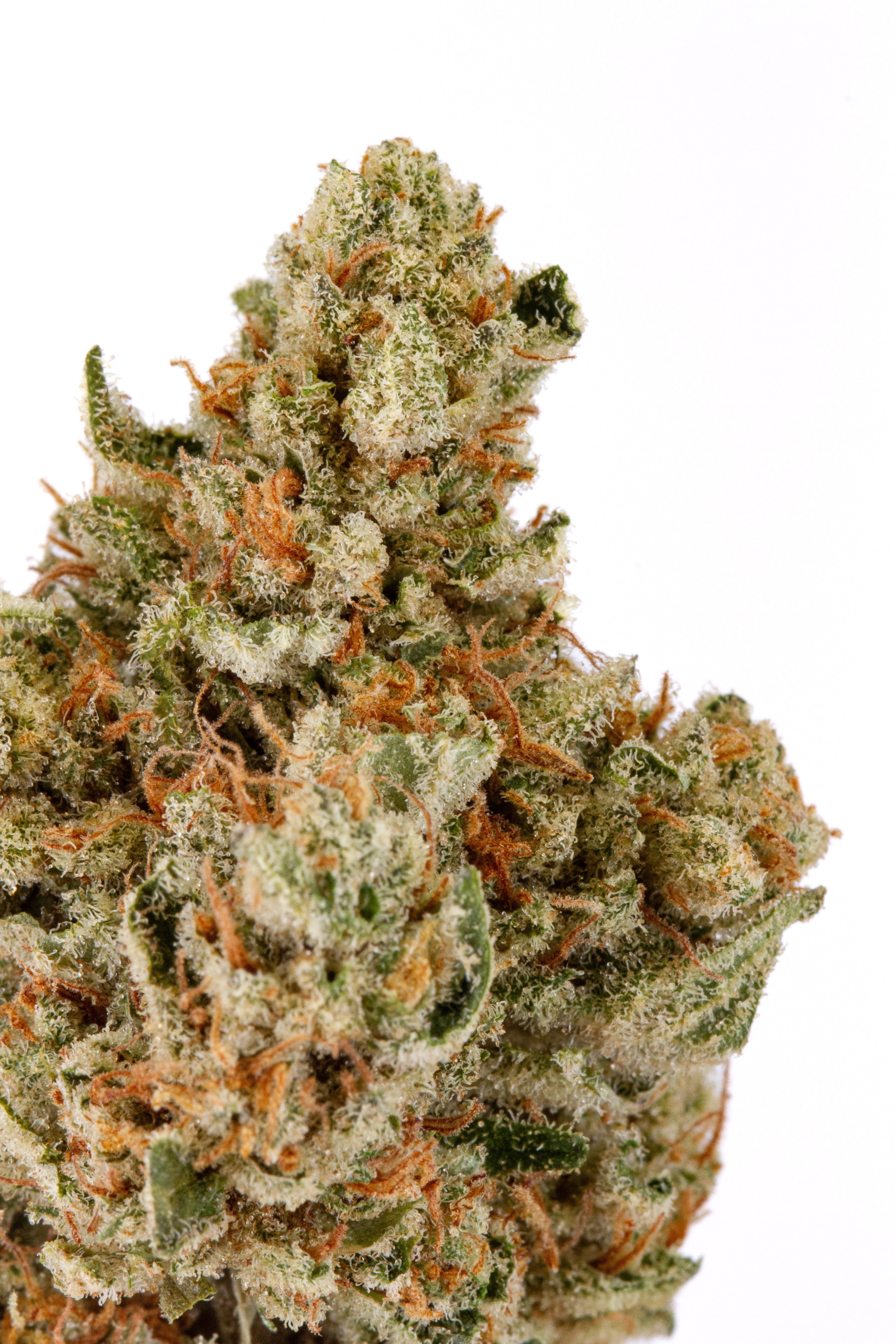 INTERSTELLAR #9 🪐