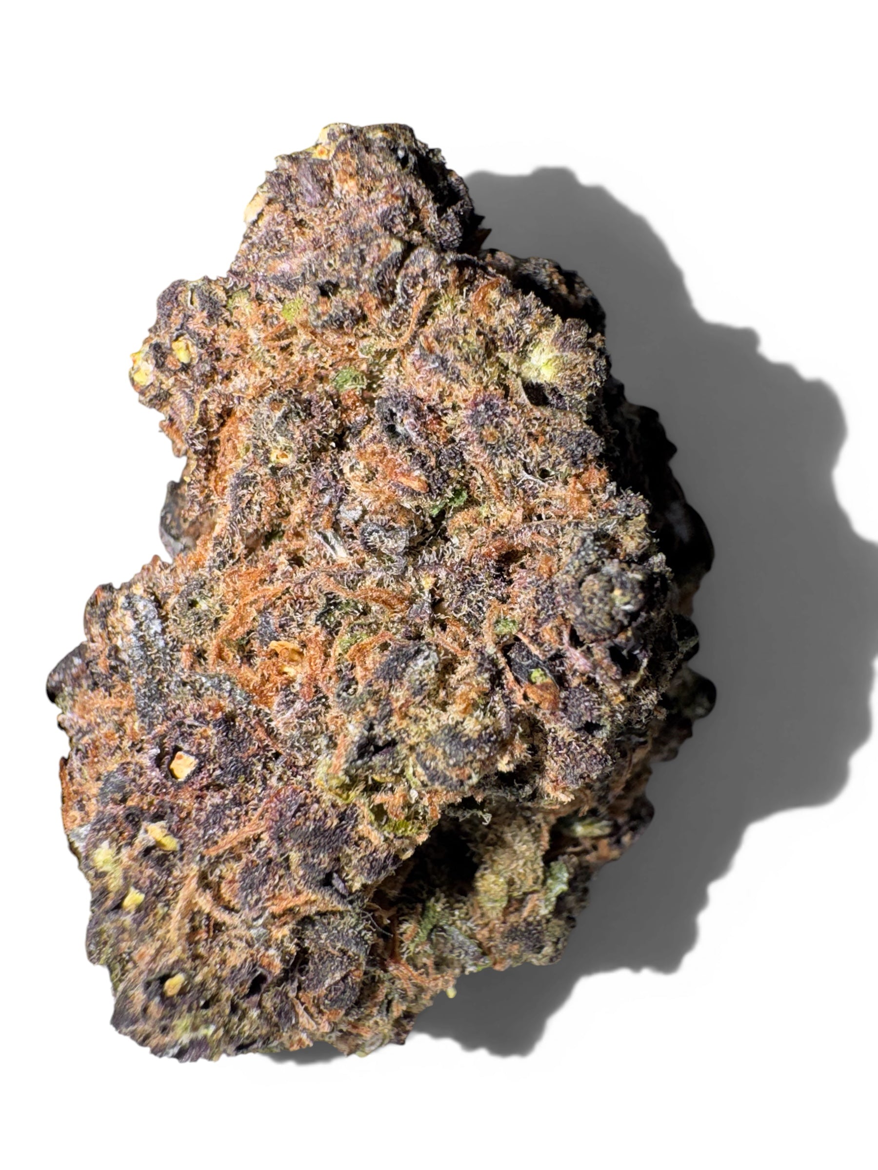 Fleur CBD Diesel Bubble indoor — vue détail têtes violettes résineuses