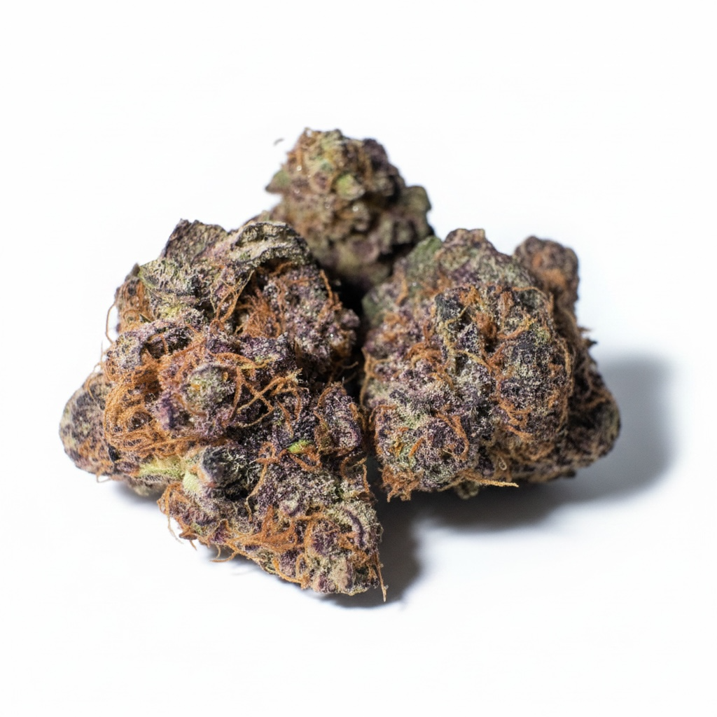 Fleur CBD Gelato 41 indoor — vue ensemble têtes | Gaz Selection CBD