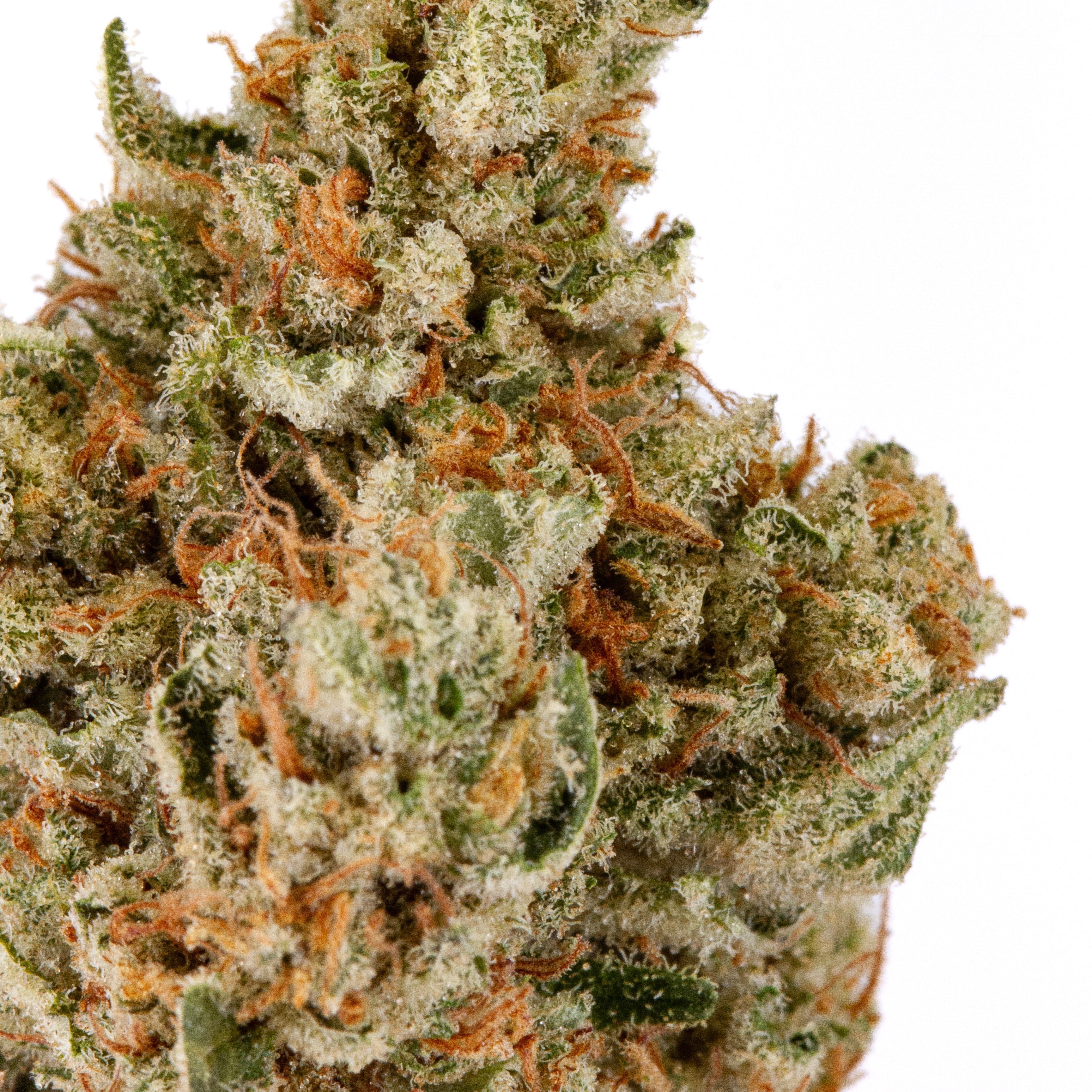 INTERSTELLAR #9 🪐