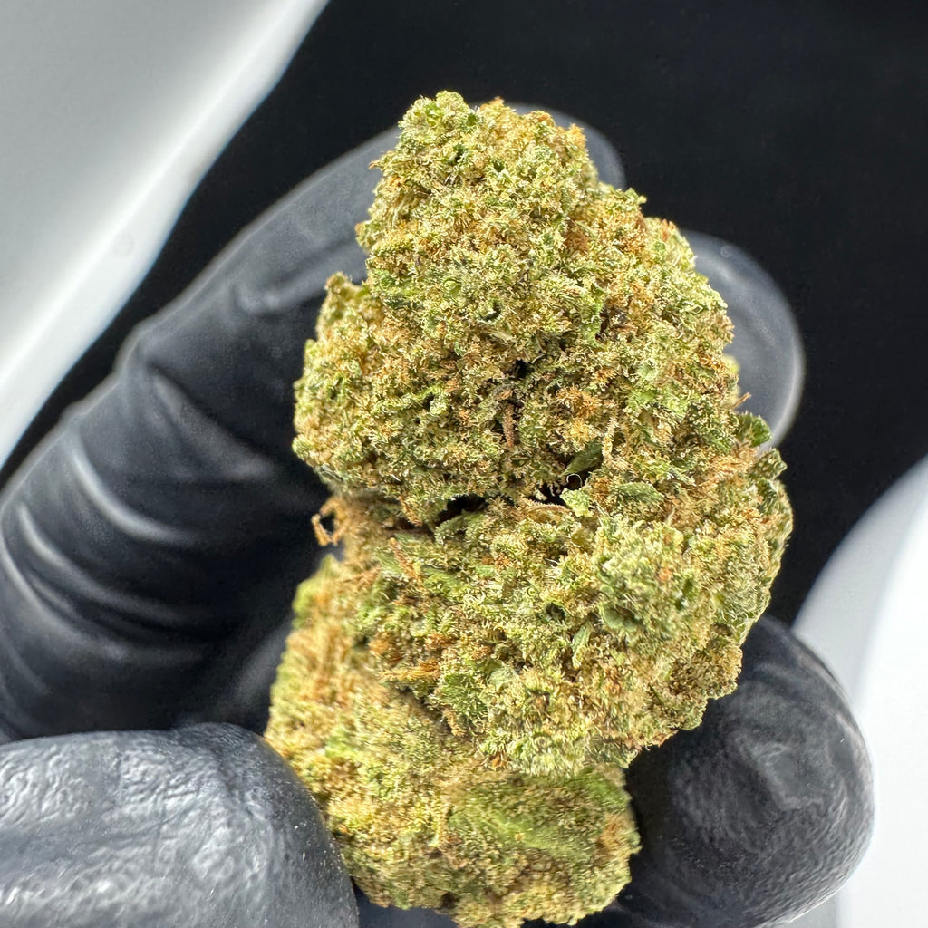 Fleur CBD Girl Scout Cookies 🍪⚡️ - GAZ SELECTION CBD
