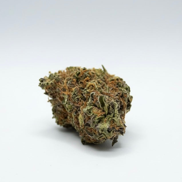 Fleur CBD Jealousy indoor — détail trichomes et calices résineux