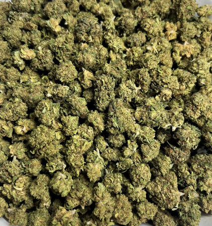 SMALL BUDS ( MANGO ) 🥭