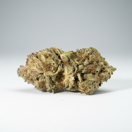 ACAPULCO GOLD  ☀️🏝️