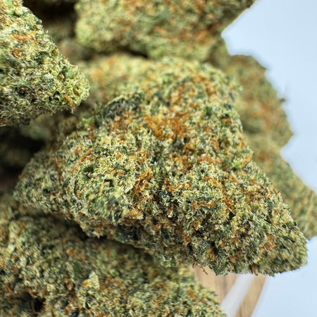 GMO 🌿💨
