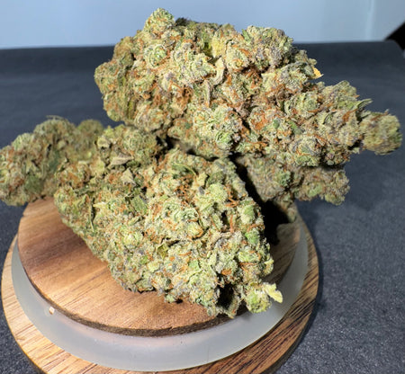 White Rhino 🦏