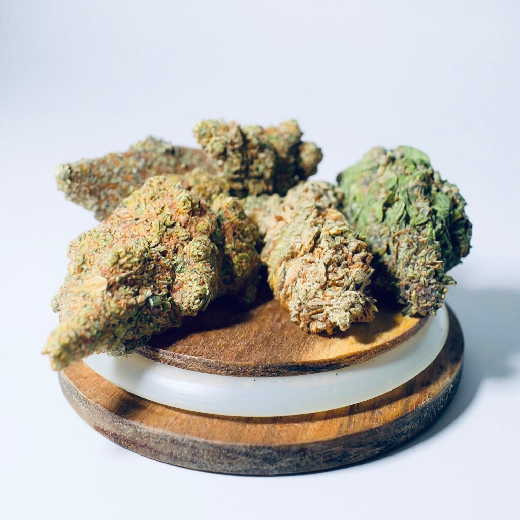 🌸 PACK DÉCOUVERTE FLEURS 🌸