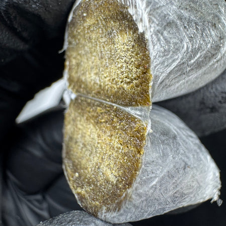 MOTORBREATH FROZEN EGG