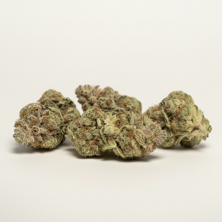 Acapulco gold  ☀️🏝️