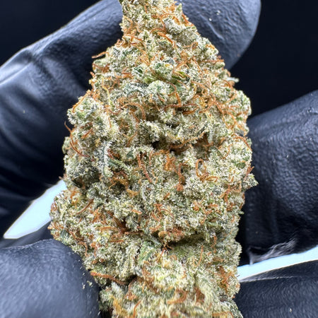 FORBIDDEN PEACH CBD - Fleurs Françaises - GAZ SELECTION CBD