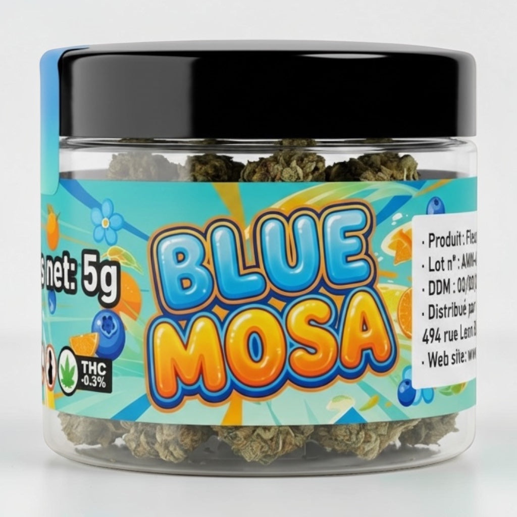 Blue Mosa