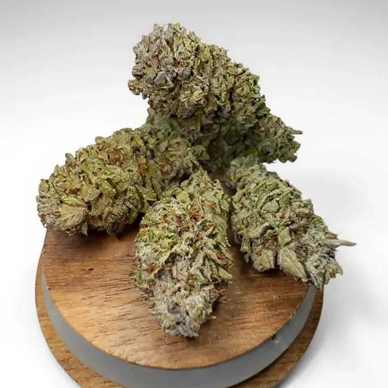 Fleur CBD Acapulco Gold – têtes compactes et trichomes visibles