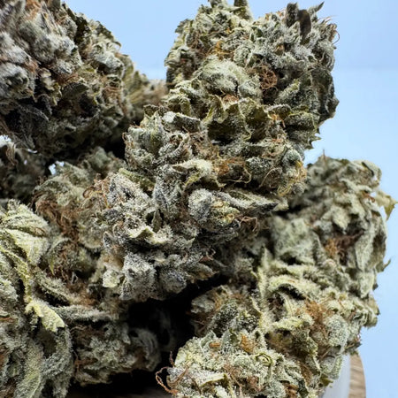 Fleur CBD Acapulco Gold – arômes frais et fruités, têtes compactes