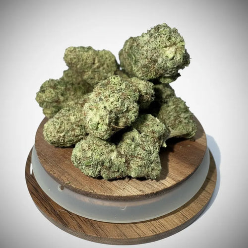 Fleur CBD Alien Fruit indoor – têtes compactes riches en trichomes GAZ Selection