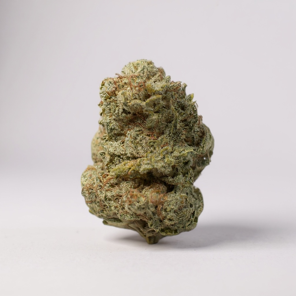 🌸 PACK DÉCOUVERTE FLEURS 🌸