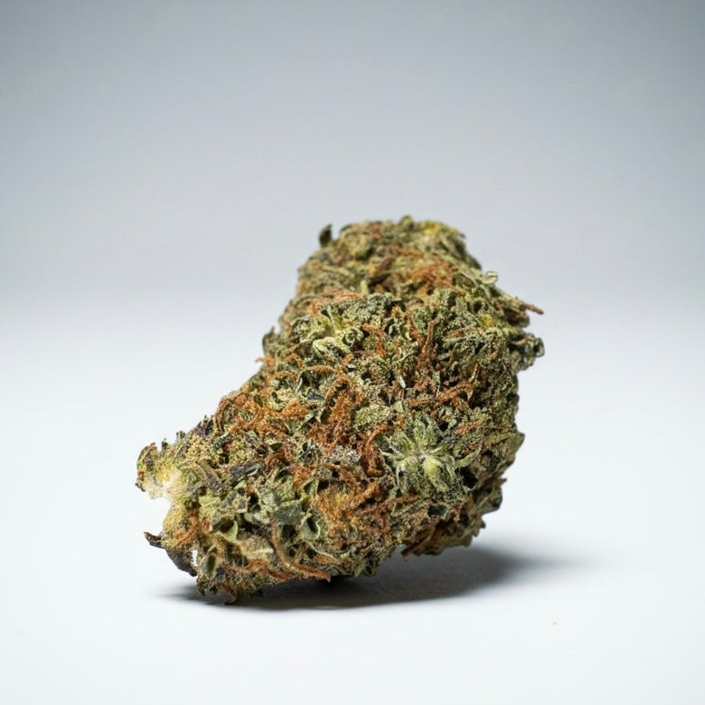 Fleur CBD Jealousy — vue couleur et arômes fruités sucrés premium