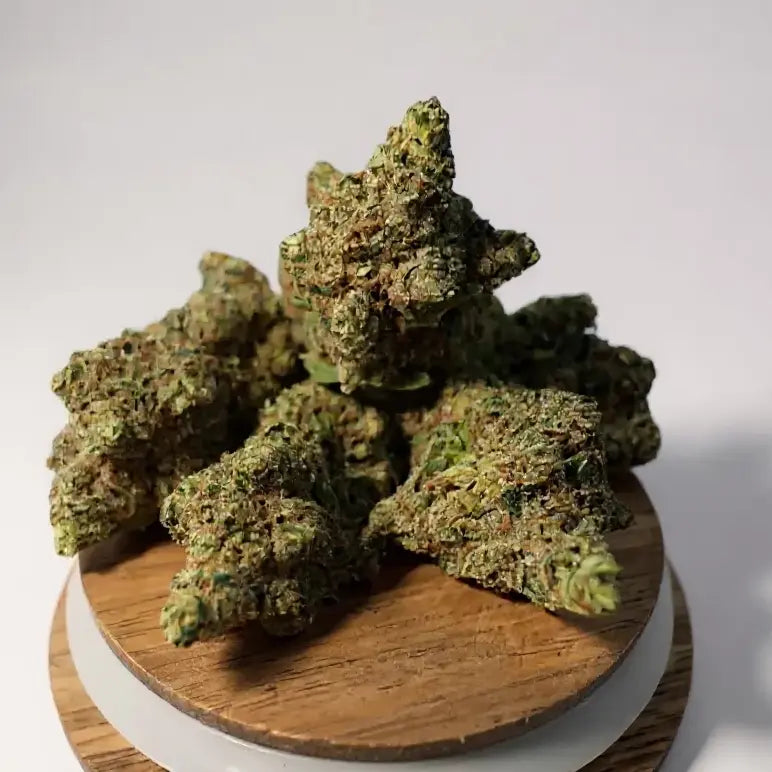 Fleur CBD Candy Land – têtes compactes vert vif et trichomes visibles