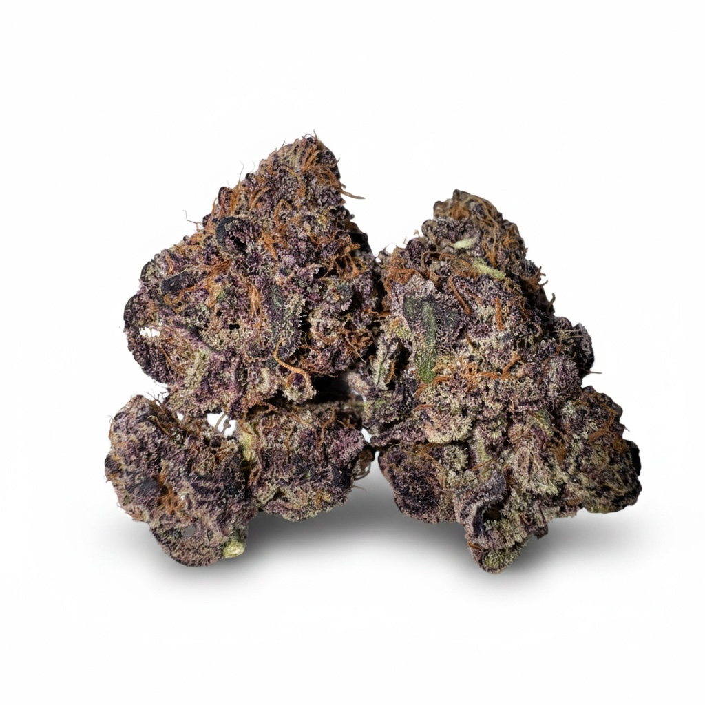Fleur CBD Gelato 41 indoor — packaging jar UV | Gaz Selection CBD