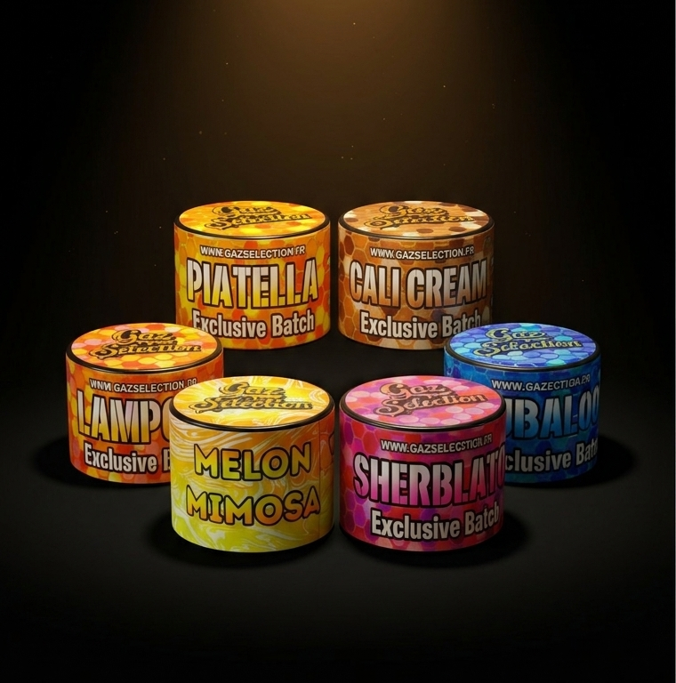 Pack résine CBD premium 6 jars 2g — assortiment sélection | Gaz Selection CBD
