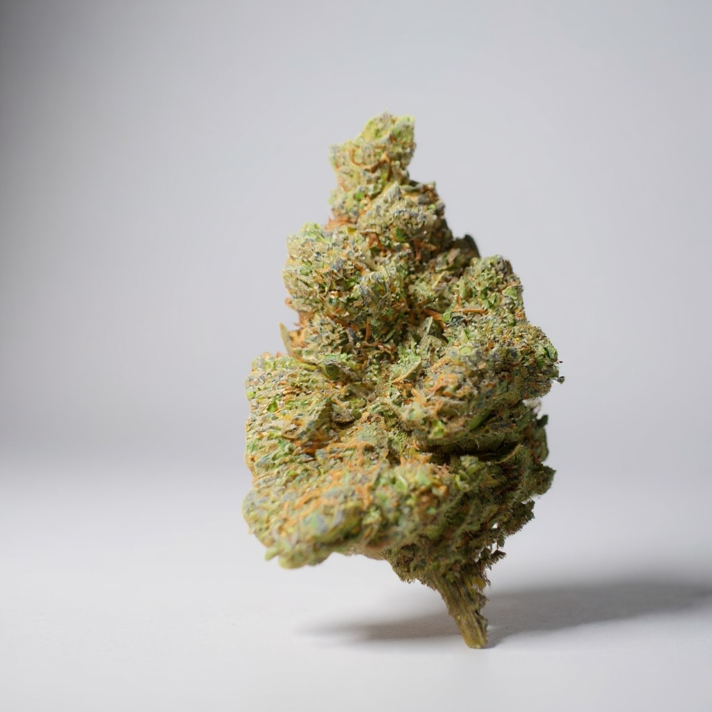 🌸 PACK DÉCOUVERTE FLEURS 🌸