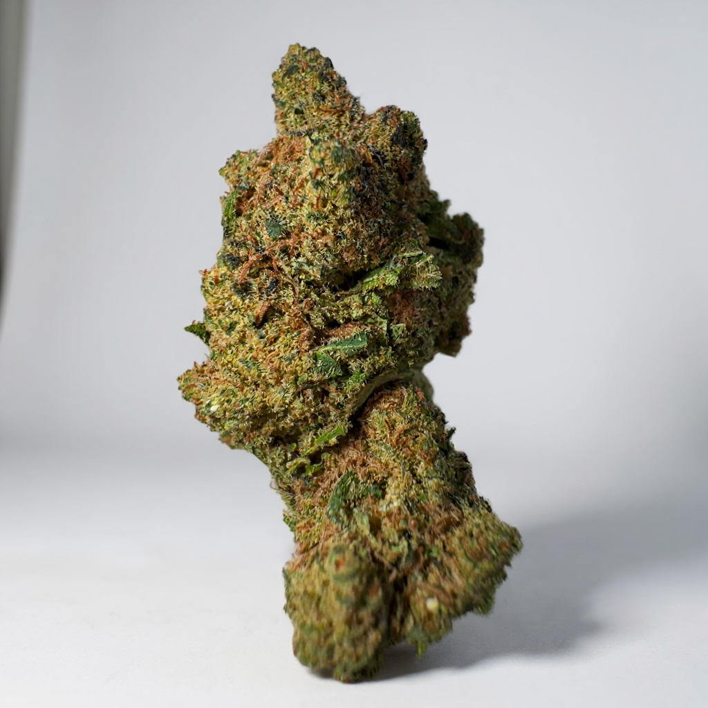 🌸 PACK DÉCOUVERTE FLEURS 🌸