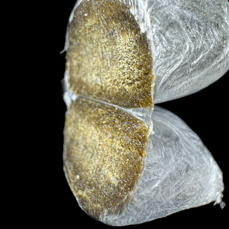 MOTORBREATH FROZEN EGG