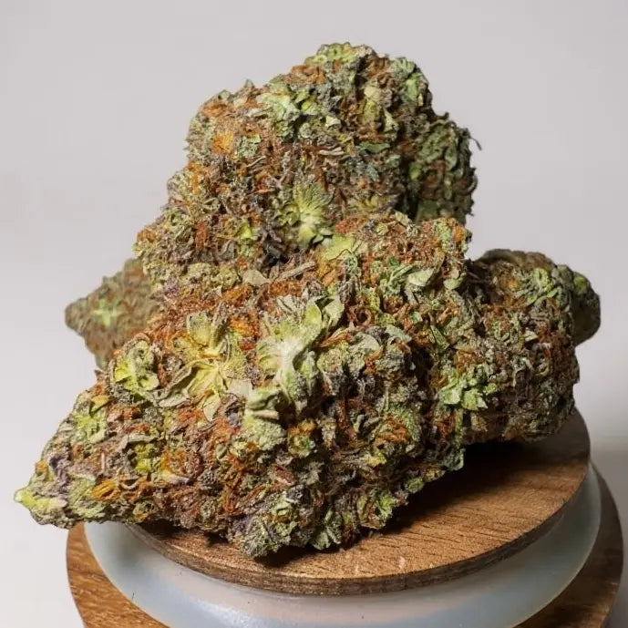 Fleur CBD Jealousy – têtes compactes pistils orange et reflets violets