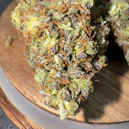 Jealousy CBD indoor – trichomes visibles et reflets violets