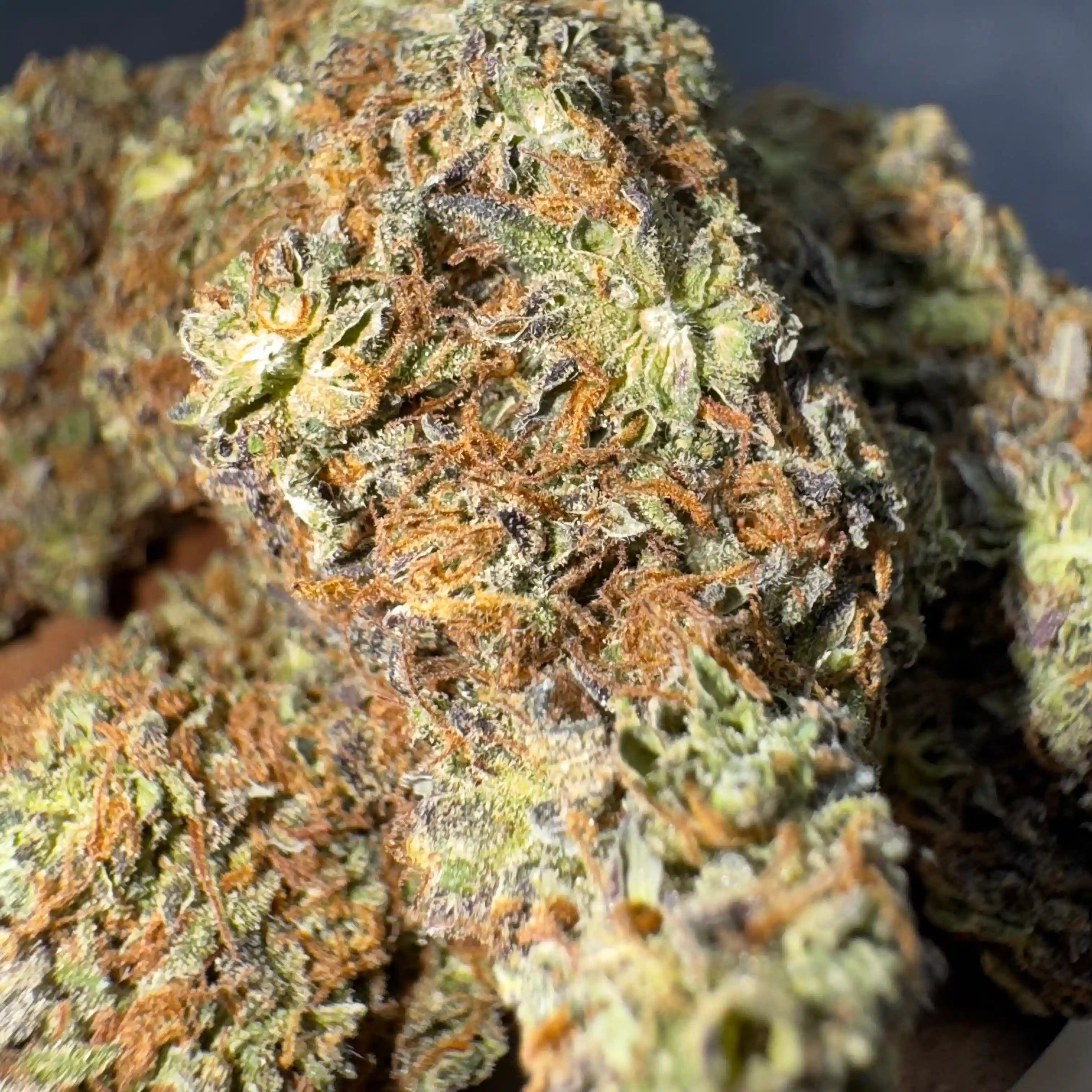 Fleur CBD Jealousy – parfum sucré fruité avec note épicée