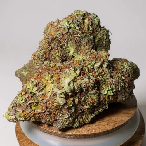 Fleur CBD Jealousy – têtes compactes pistils orange et reflets violets