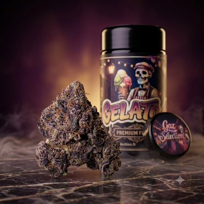 Gelato 41 — Fleur CBD Indoor