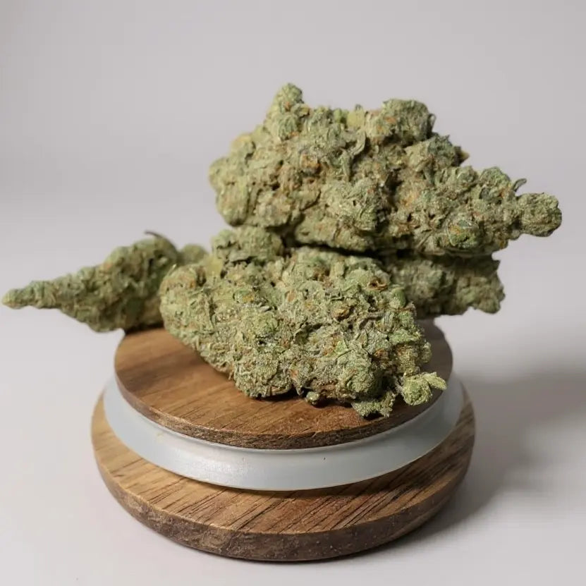 Fleur CBD White Rhino – têtes compactes vert profond et pistils orange