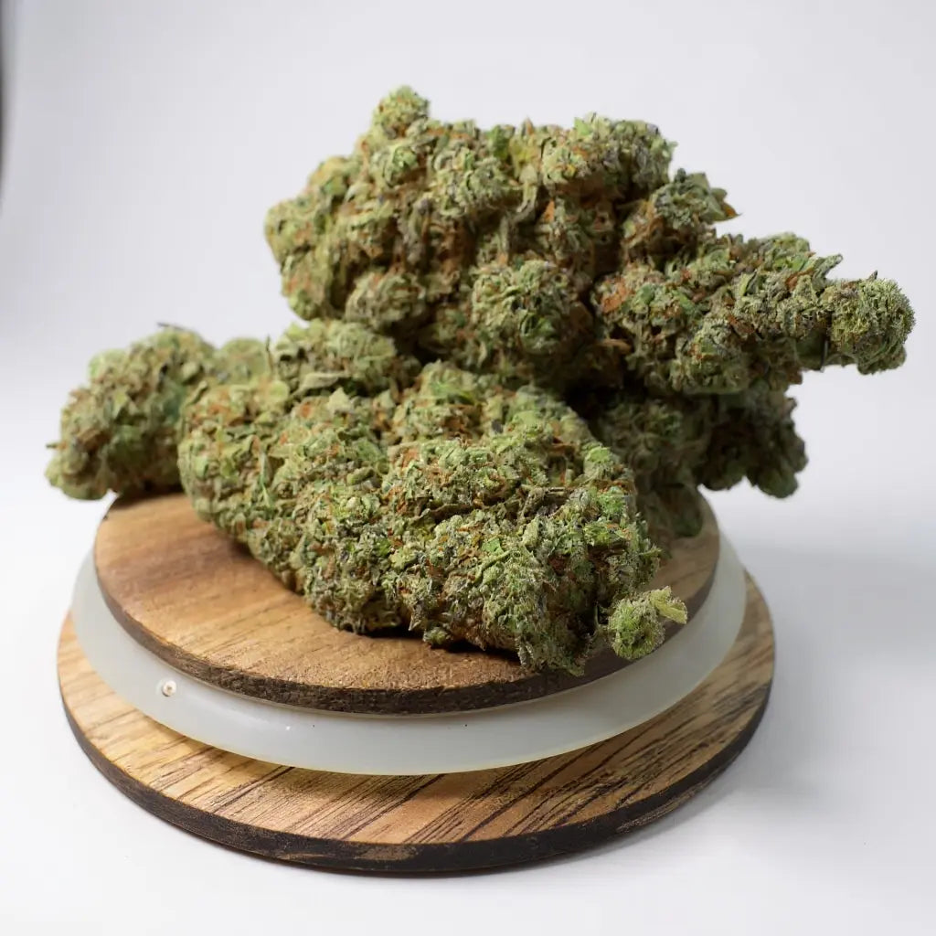 White Rhino CBD – arômes pin, terre et agrumes