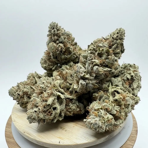 Acapulco Gold CBD – fleurs indoor vertes avec trichomes abondants