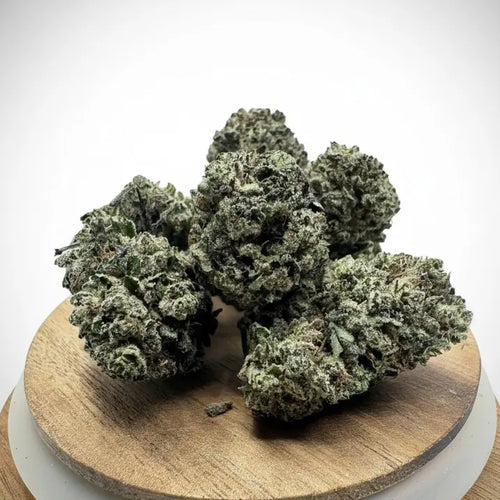 Fleur CBD Blue Cheese premium indoor dense et résineuse