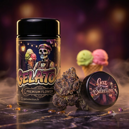 Fleur CBD Gelato 41 indoor — détail trichomes et résine | Gaz Selection CBD