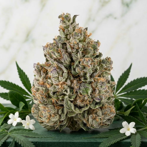 OZK — Fleur CBG Living Soil